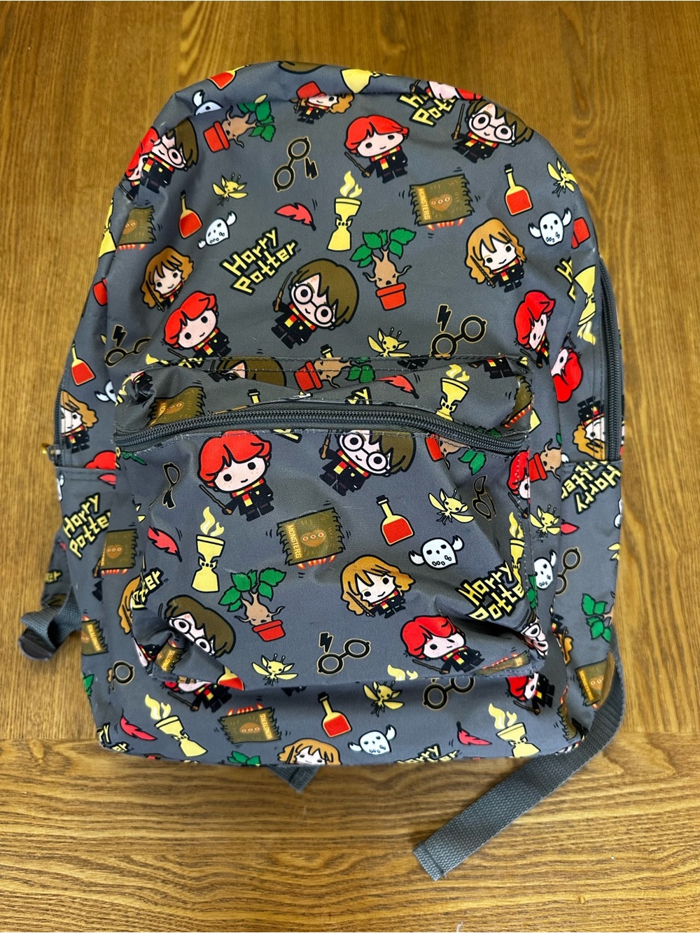 Warner Bros. Grey Harry Potter Character Kids Backpack with Multicolor Print